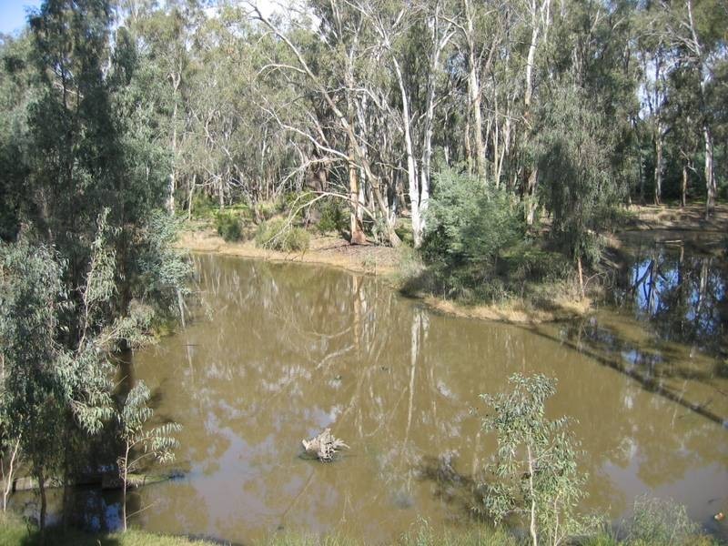 5 Berry Street, Moama NSW 2731