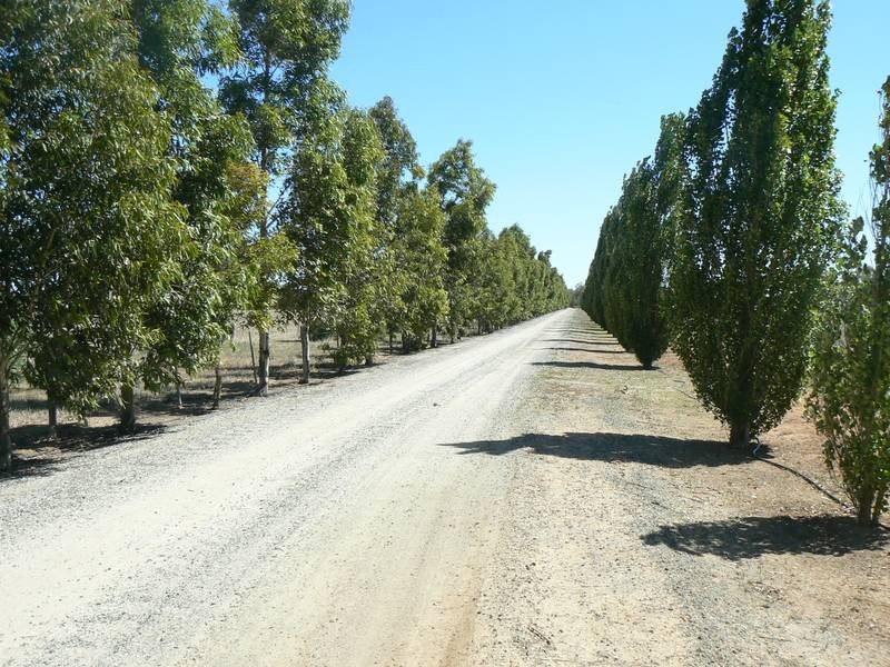944 Murray Valley Highway, Echuca VIC 3564