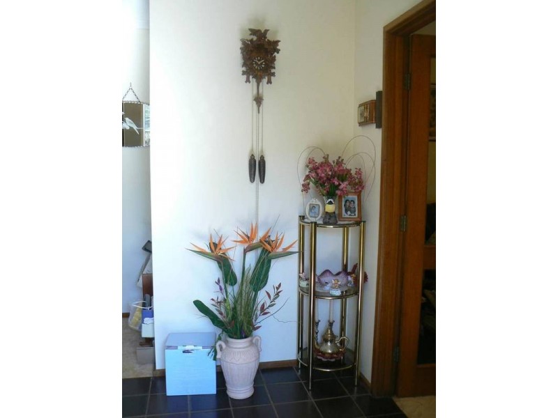 21 Hillview Ave, Moama NSW 2731