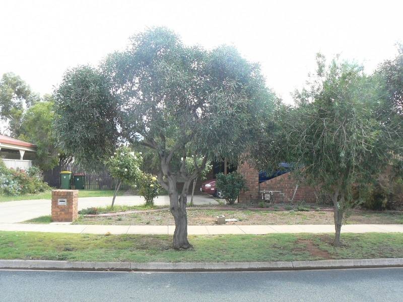 123 Crossen Street, Echuca VIC 3564