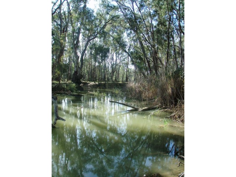 001 Morris Street, Mathoura NSW 2710