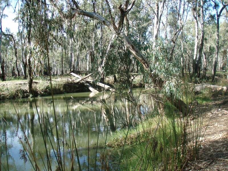 001 Morris Street, Mathoura NSW 2710