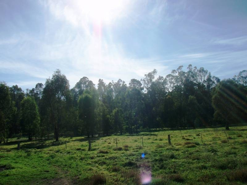 001 Morris Street, Mathoura NSW 2710