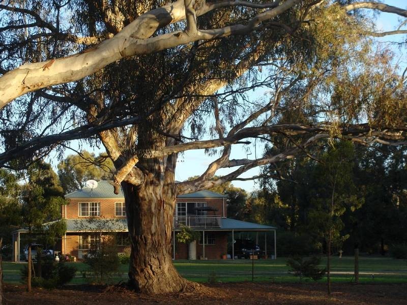 35 River View Court, Echuca VIC 3564