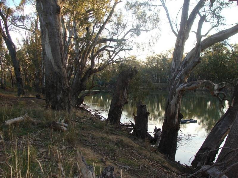 35 River View Court, Echuca VIC 3564