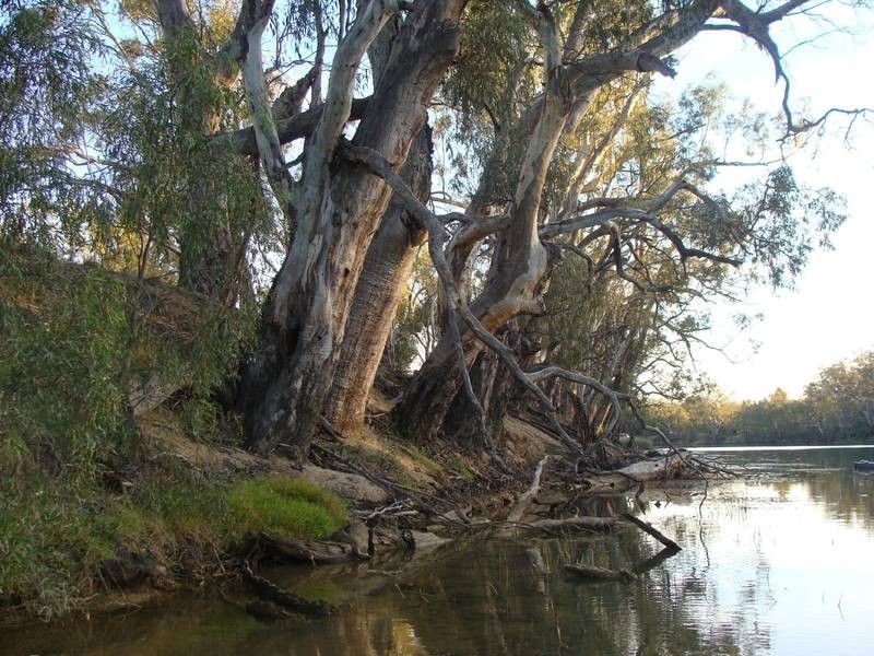 35 River View Court, Echuca VIC 3564