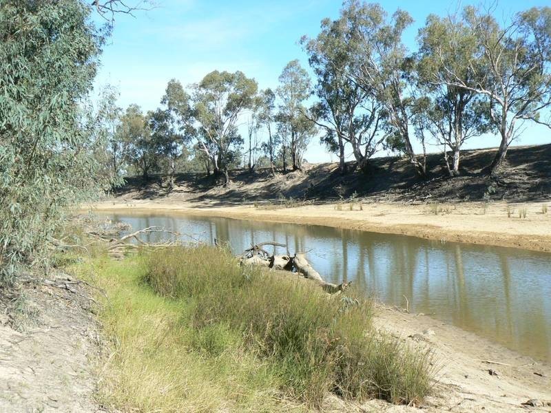 127 Woodbine Drive, Barmah VIC 3639
