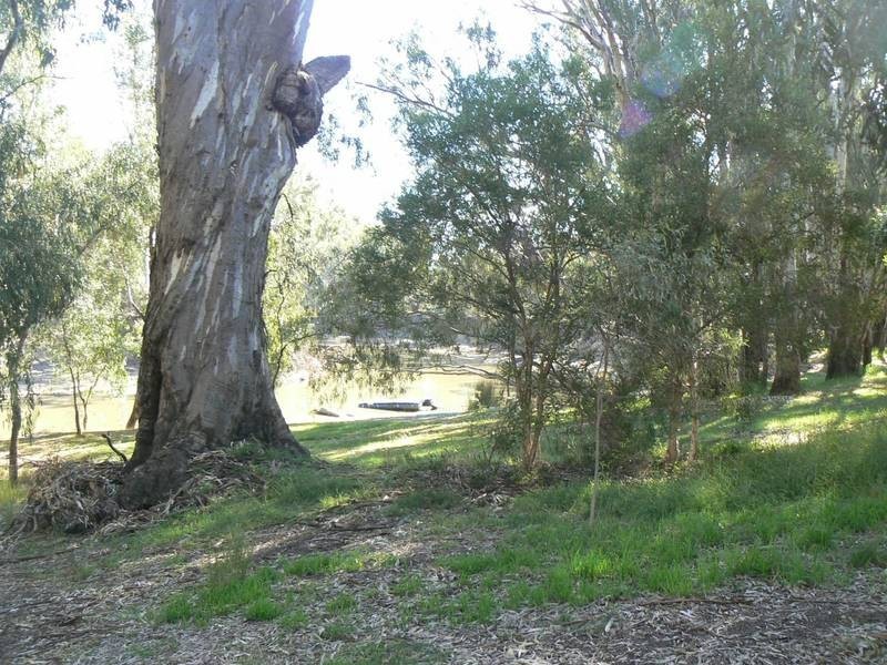 127 Woodbine Drive, Barmah VIC 3639