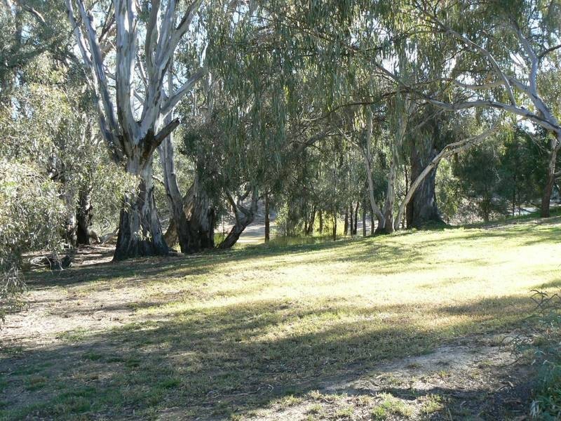 127 Woodbine Drive, Barmah VIC 3639