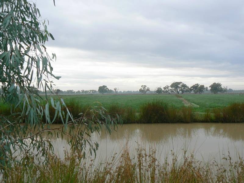 1659 Mt Terrick Road, Echuca VIC 3564