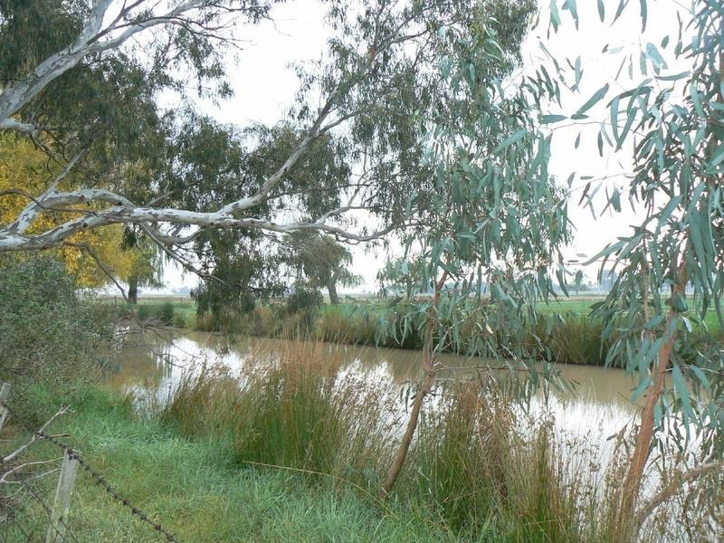 1659 Mt Terrick Road, Echuca VIC 3564