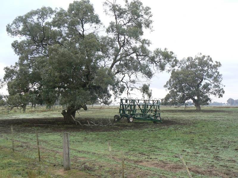 1659 Mt Terrick Road, Echuca VIC 3564