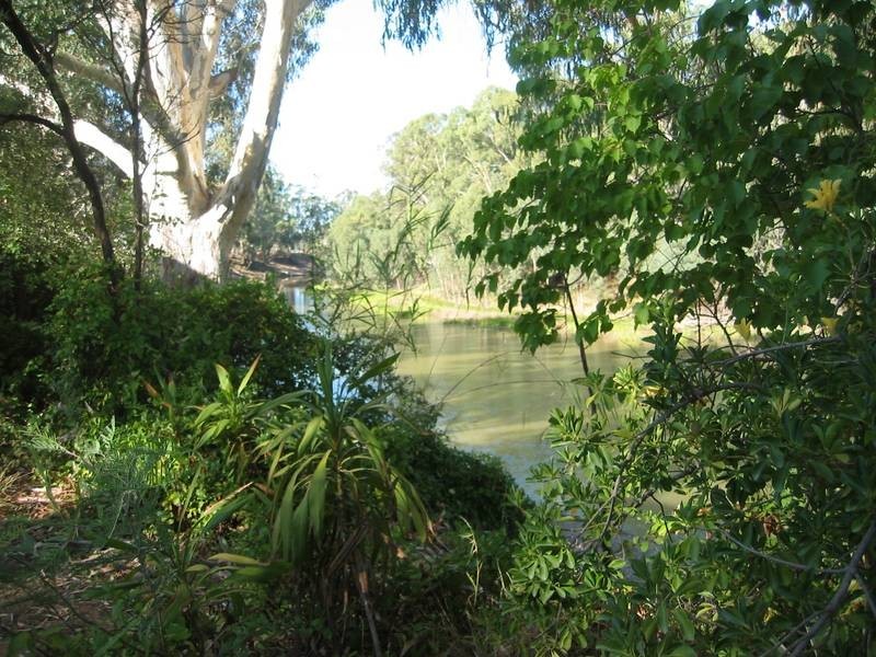 Lot 4, Cabin 4 Horseshoe Lagoon Caravan Park, Moama NSW 2731