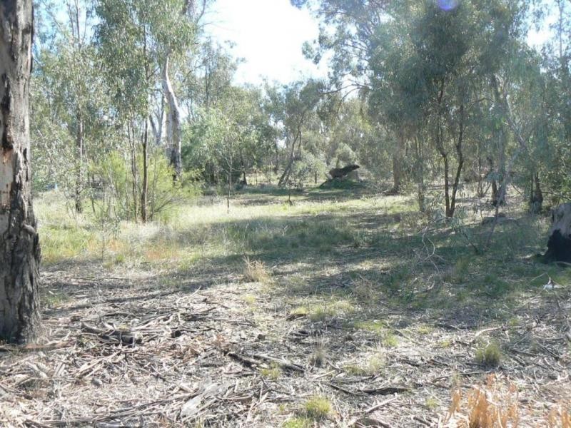 Lot 3 Council Street, Moama NSW 2731