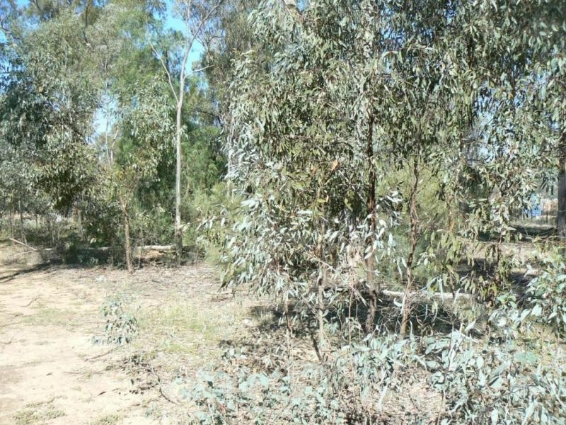 Lot 3 Council Street, Moama NSW 2731