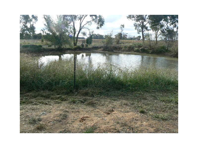 785 Cantwell Rd, Echuca VIC 3564