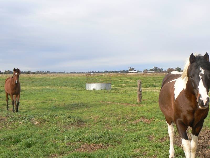 1020 Murphy Road, Koyuga VIC 3622