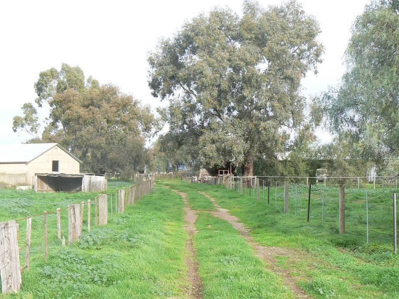 1020 Murphy Road, Koyuga VIC 3622