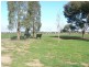 8941 Murray Valley Highway (5km’s East of Echuca), Echuca VIC 3564