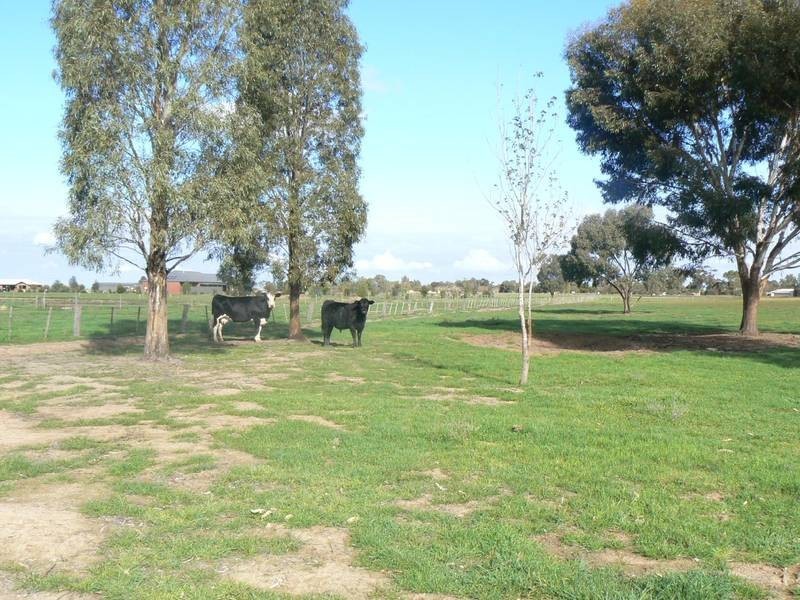 8941 Murray Valley Highway (5km’s East of Echuca), Echuca VIC 3564
