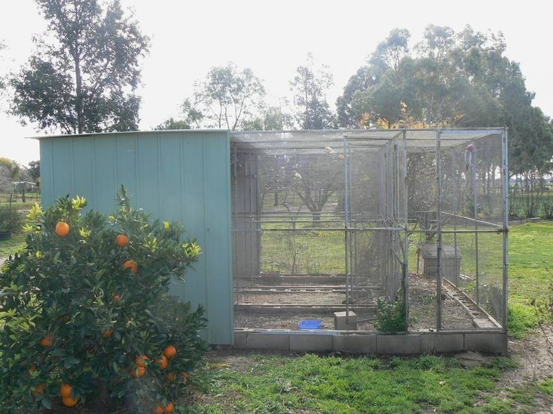 8941 Murray Valley Highway (5km’s East of Echuca), Echuca VIC 3564