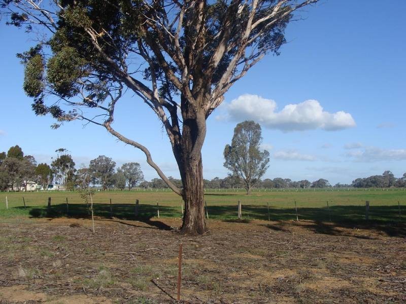 Lot 2, 865 Mt Terricks Road, Echuca VIC 3564