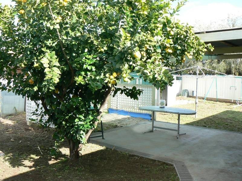 1 Carlyon Close, Moama NSW 2731