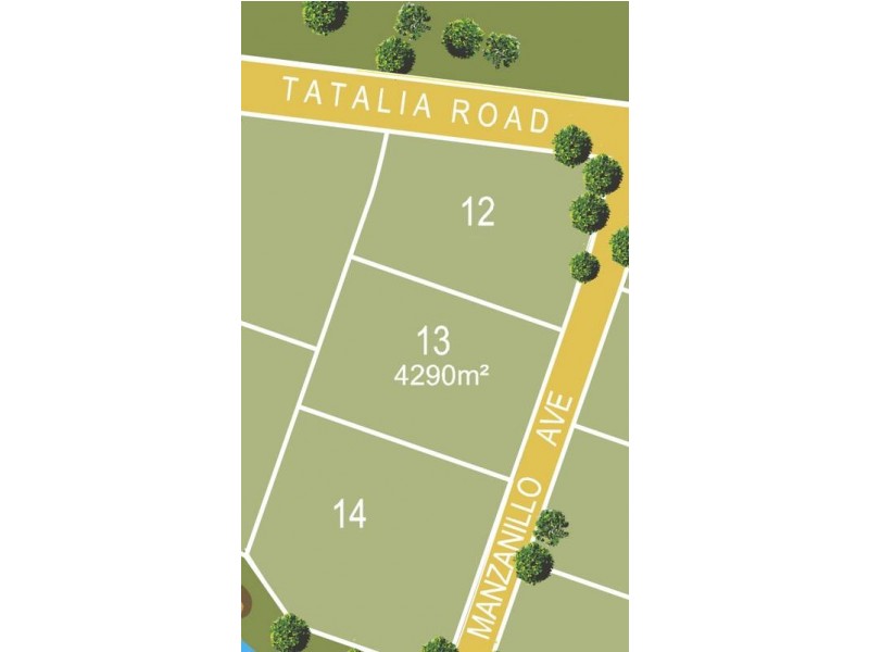 13 Manzanillo Avenue, Moama NSW 2731