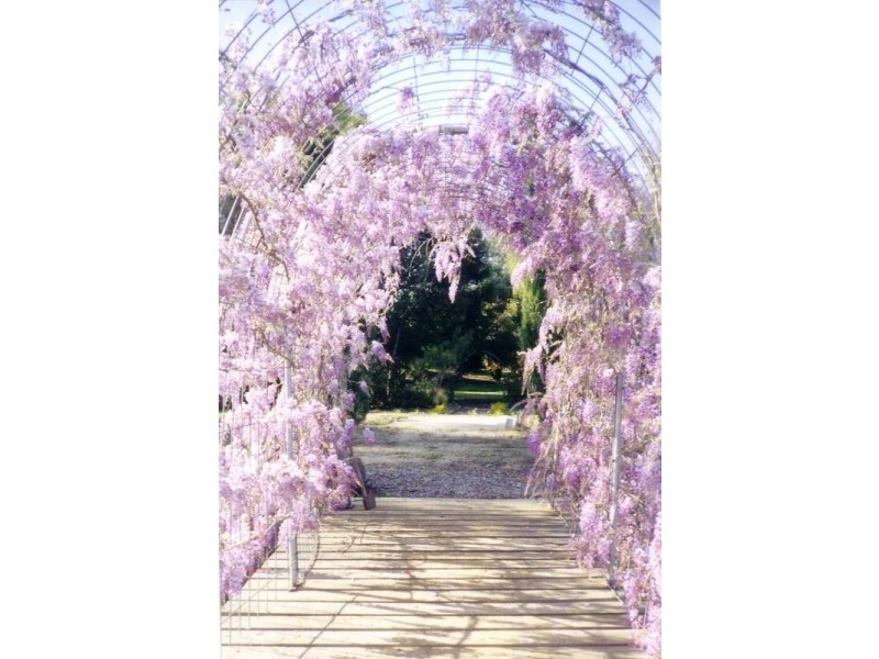 133 Sarandu Park Road, Echuca VIC 3564