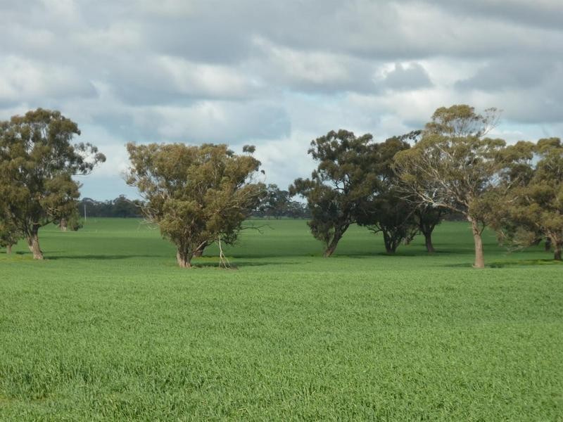 00 Moira Road, Moama NSW 2731