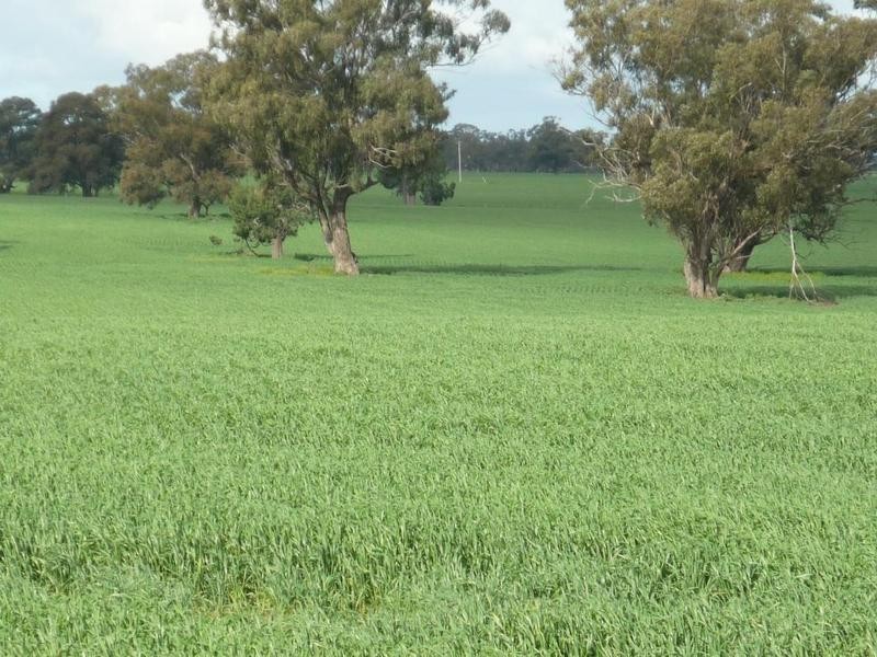 00 Moira Road, Moama NSW 2731