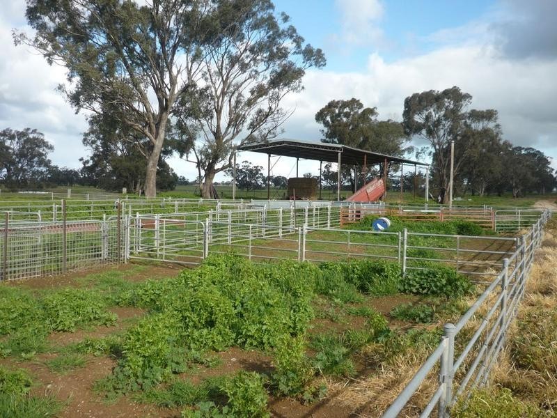 00 Moira Road, Moama NSW 2731