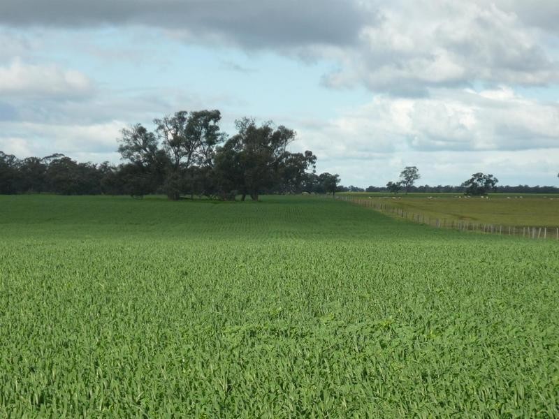 00 Moira Road, Moama NSW 2731