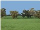 01 Moria Rd, Echuca VIC 3564