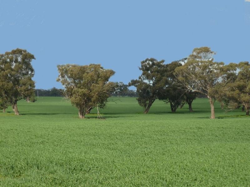 01 Moria Rd, Echuca VIC 3564