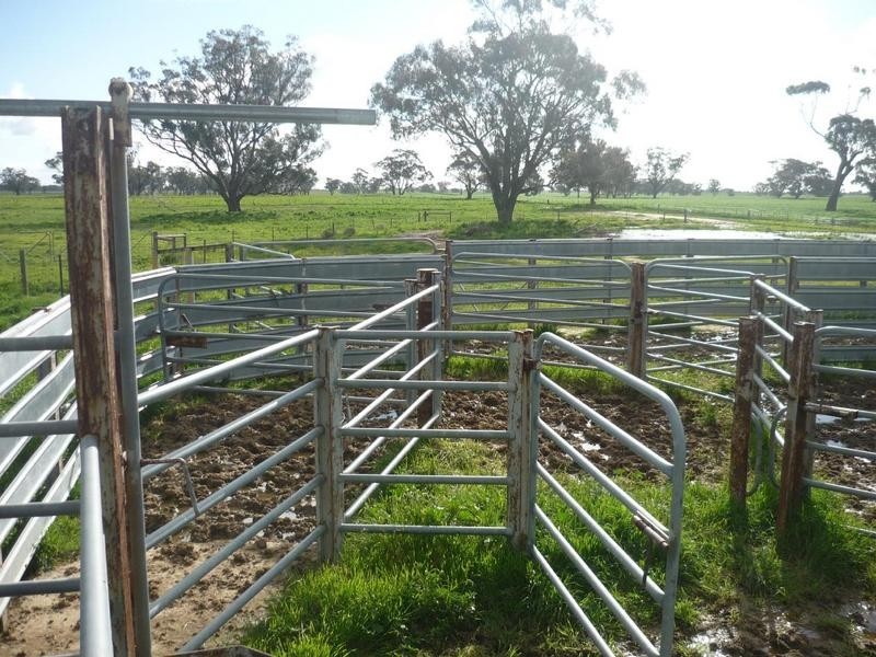 01 Moria Rd, Echuca VIC 3564