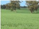 01 Moria Rd, Echuca VIC 3564