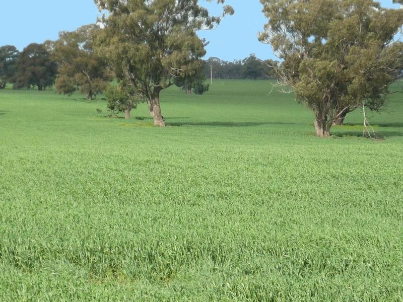 01 Moria Rd, Echuca VIC 3564