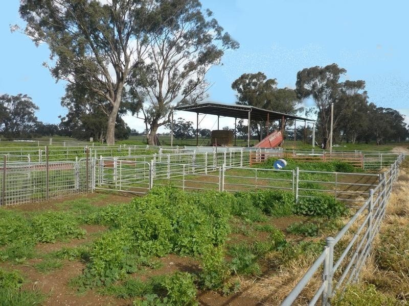 01 Moria Rd, Echuca VIC 3564