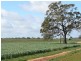 1 Caloola Road, Moama NSW 2731