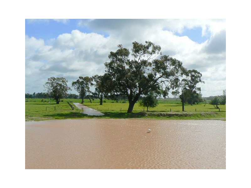 1 Caloola Road, Moama NSW 2731