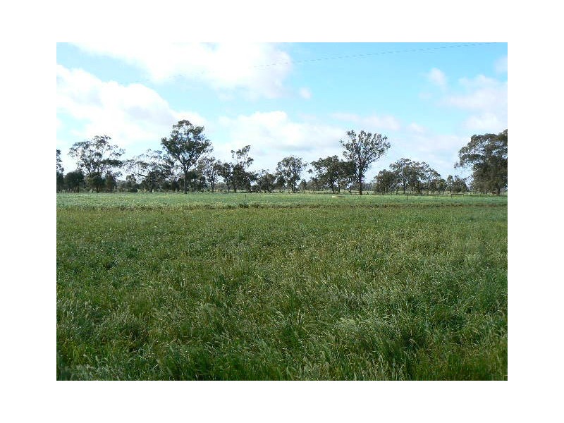 1 Caloola Road, Moama NSW 2731