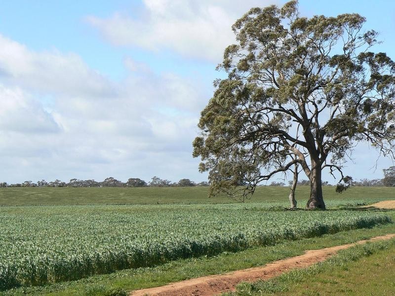 1a Caloola Road, Womboota NSW 2731