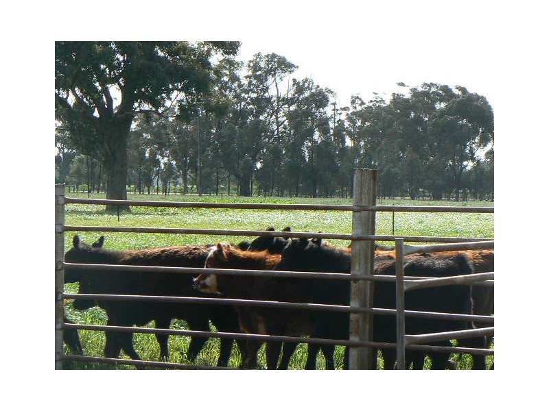 1a Caloola Road, Womboota NSW 2731