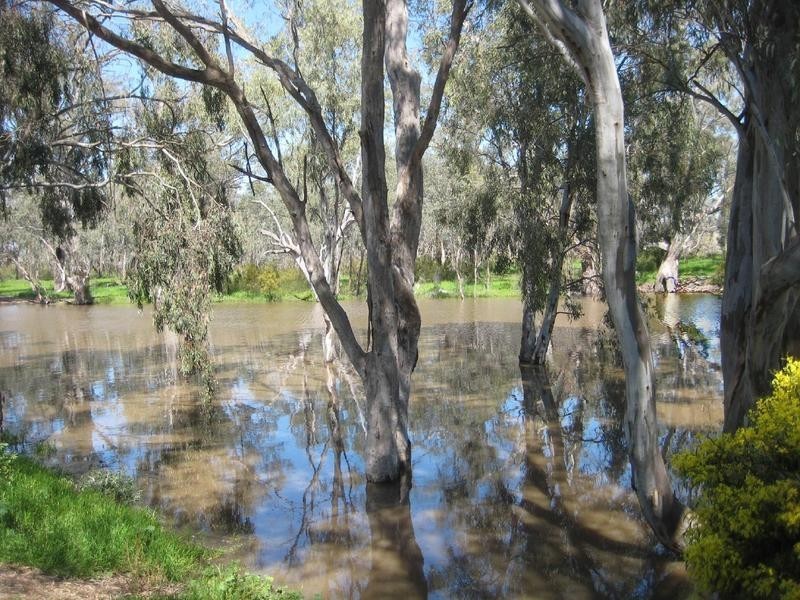 543 High Street, Echuca VIC 3564