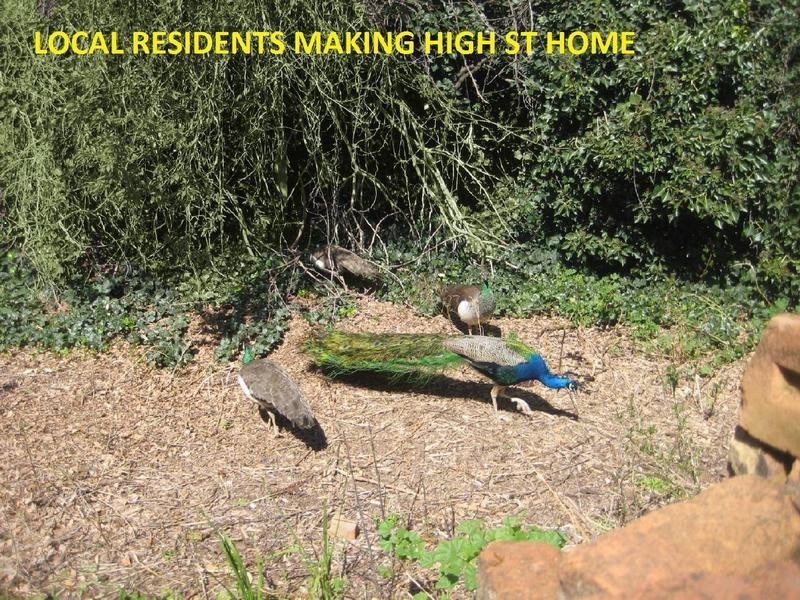 543 High Street, Echuca VIC 3564