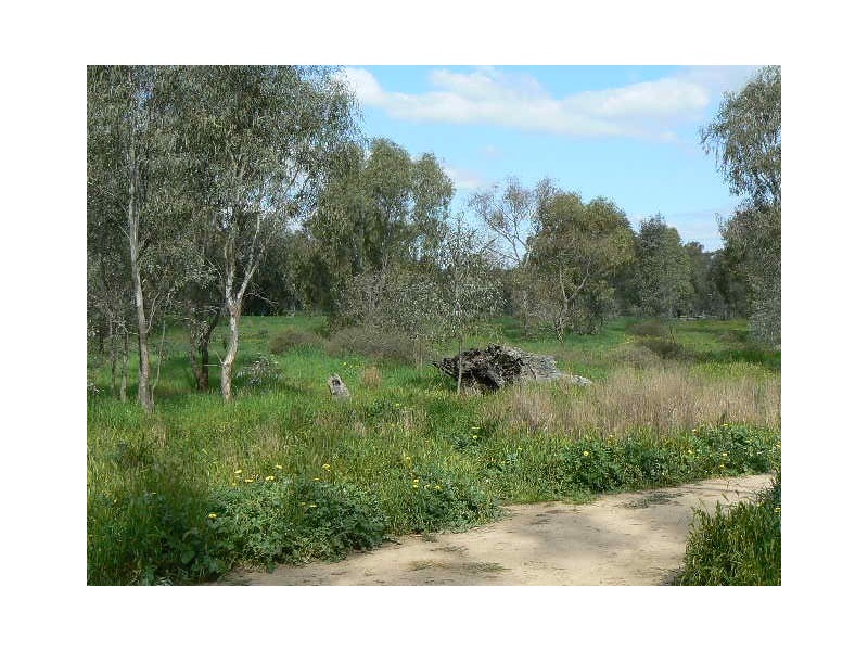 Lot S5, 00 Schoeffel Drive (Off Fehring Lane), Echuca VIC 3564