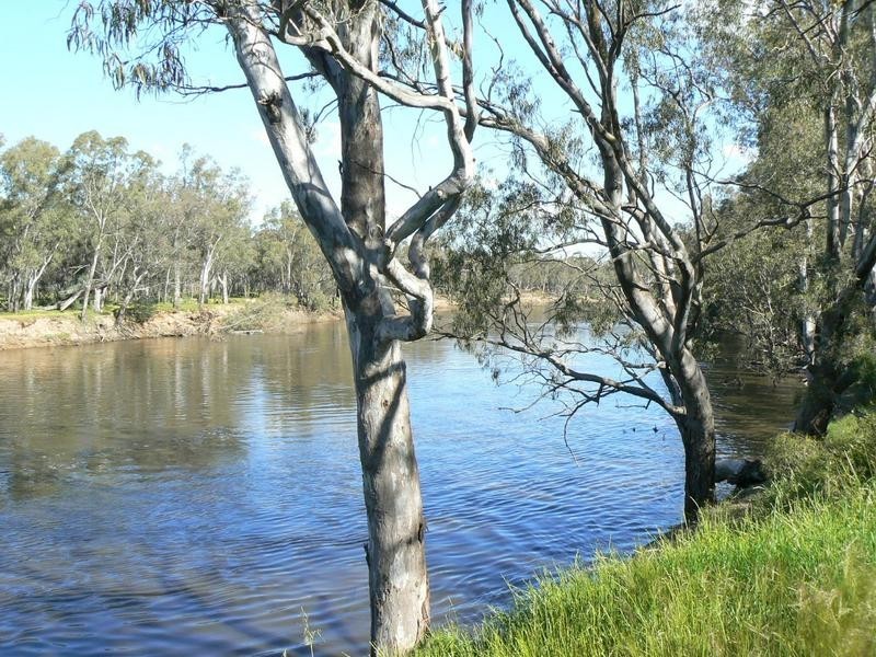 64 Moorabinda Road, Echuca VIC 3564