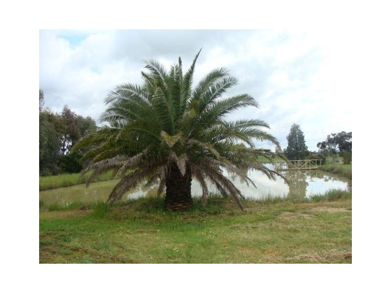 1086 Murphy Road, Koyuga VIC 3622