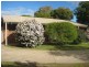 41 Jacana Avenue, Moama NSW 2731